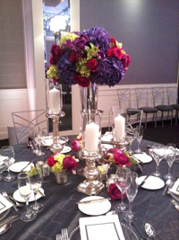 773-505-2069 Event Planner Daureen Parenti