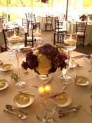 773-505-2069 Event Planner Daureen Parenti