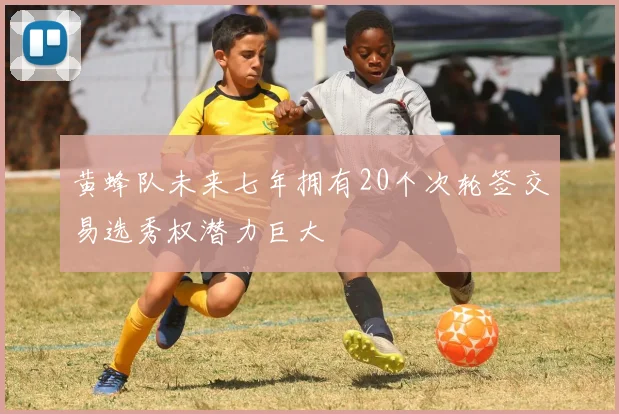 黄蜂队未来七年拥有20个次轮签交易选秀权潜力巨大