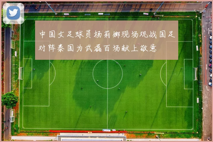 中国女足球员杨莉娜现场观战国足对阵泰国为武磊百场献上敬意